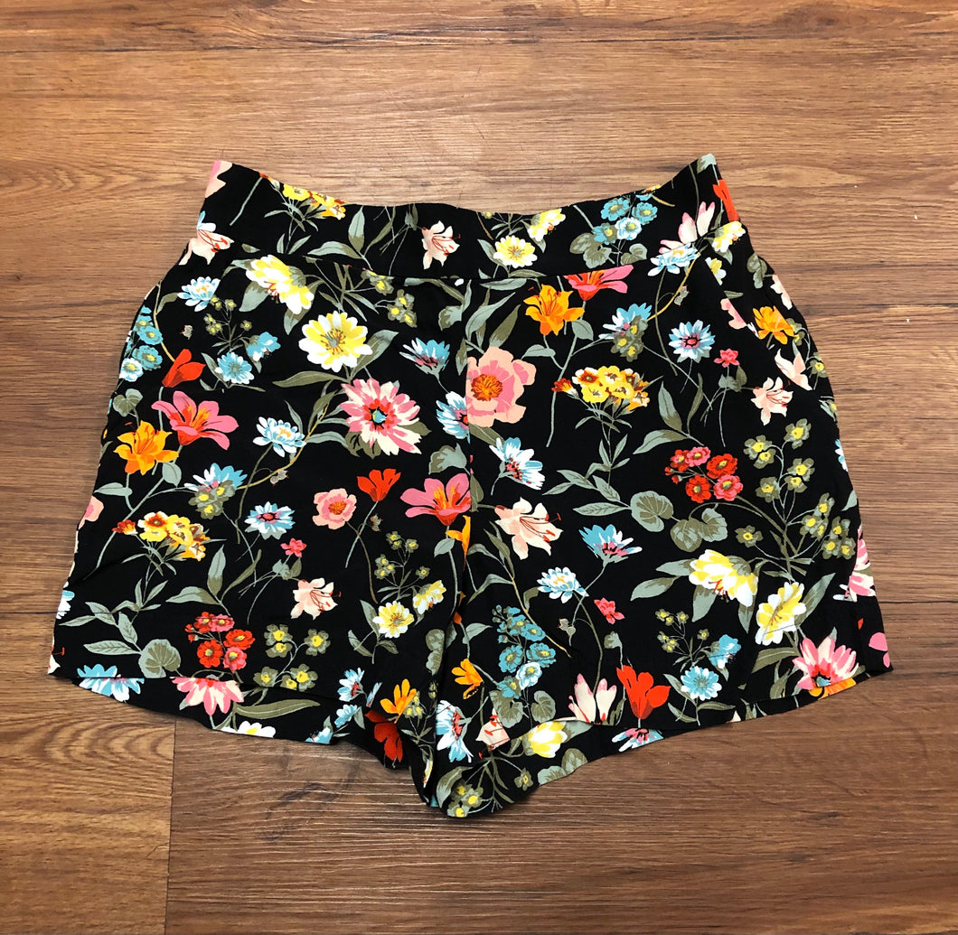 Size XS The Loft Shorts