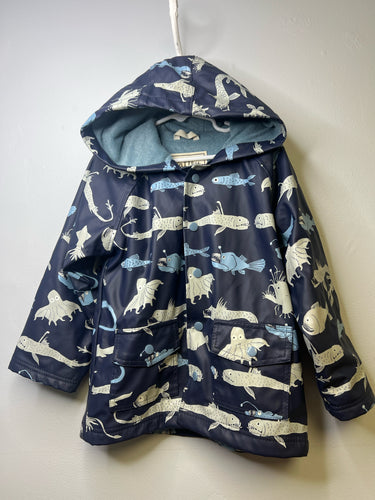 Boys 5 Hatley Spring Jacket