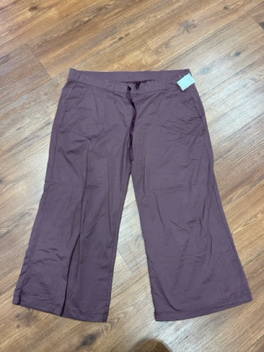 Size L Patagonia Pants