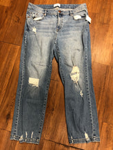 Load image into Gallery viewer, Size 16 Lane Bryant Jeans - High Rise Classic Straight - Signature Fit
