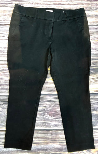 Size 10P Loft Pants