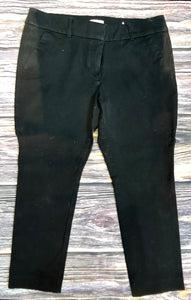 Size 10P Loft Pants