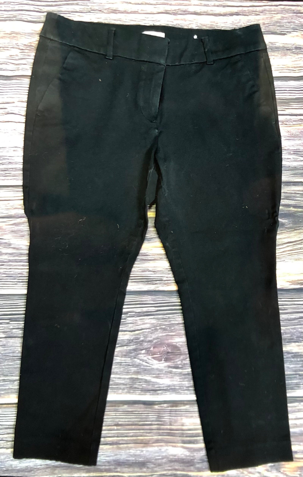 Size 10P Loft Pants