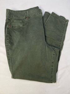 Size 24 Maurices Pants