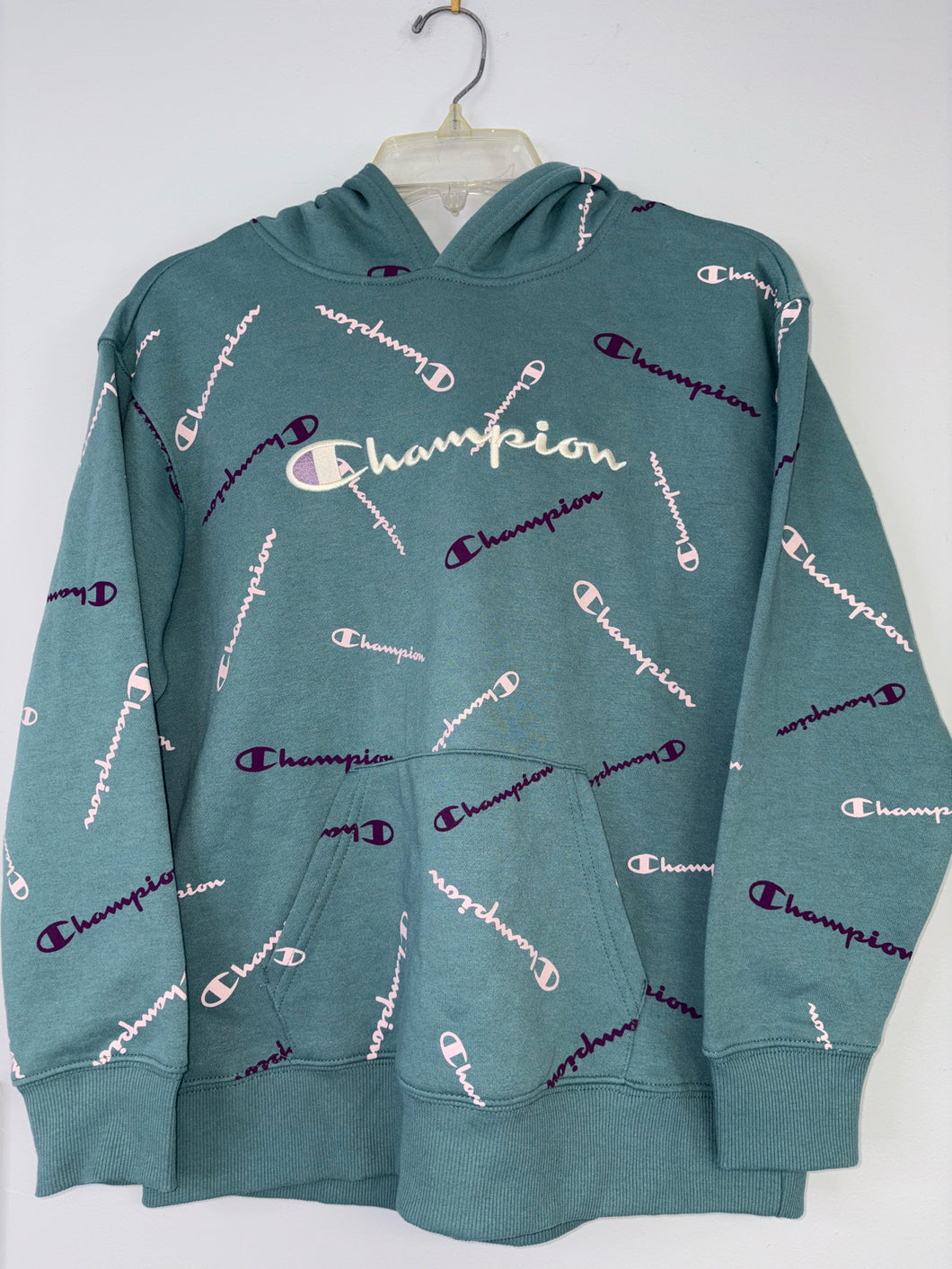 XL champion hoodie