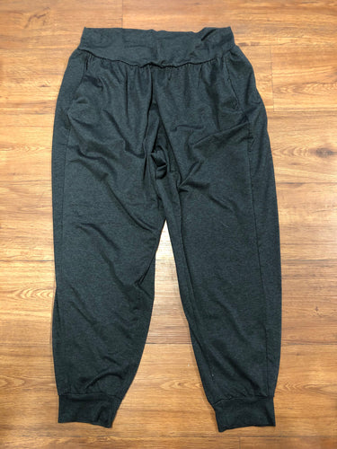 womens Size L DSG joggers