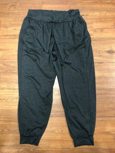 womens Size L DSG joggers