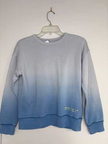 Boys L Gap Sweater
