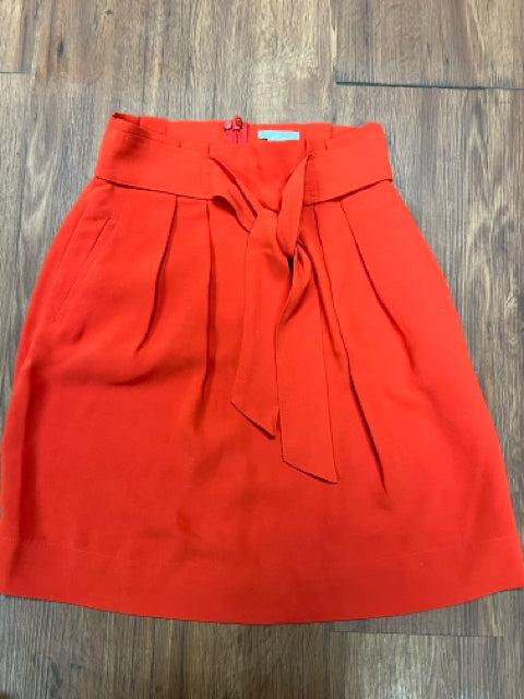 Women's Size 2 H&M Skirt