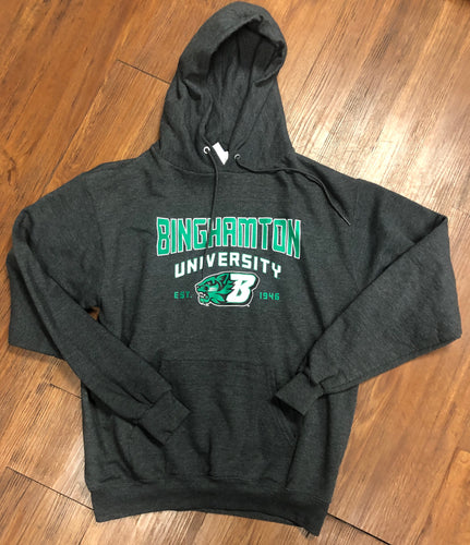 Size M Binghamton University pullover hoodie