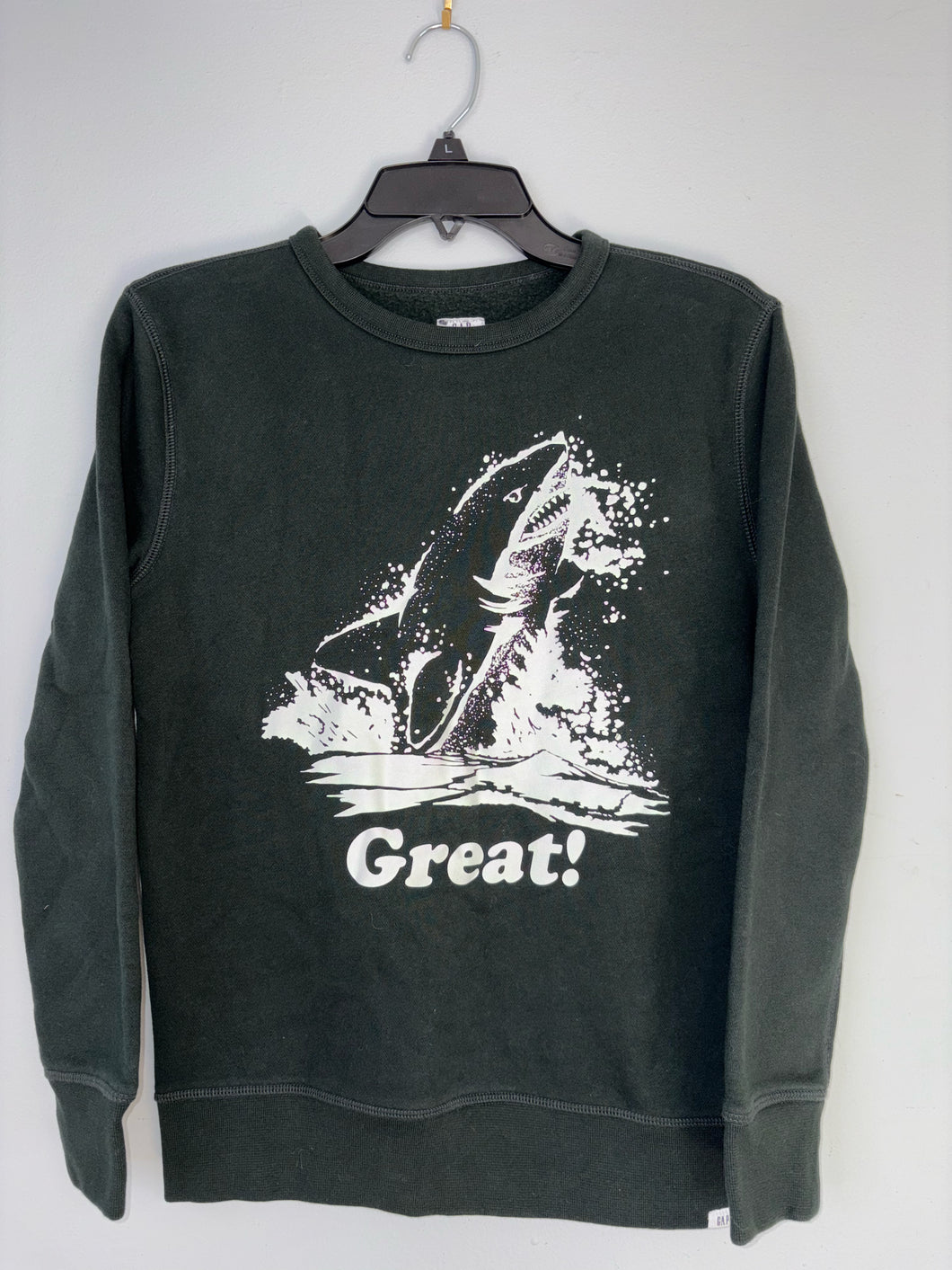 Boys XL Gap Sweater