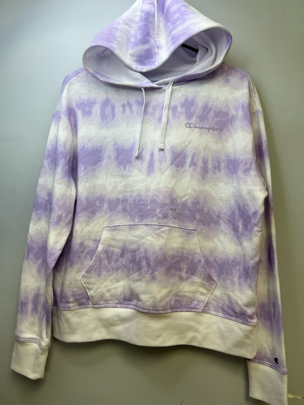 womens Size S champion Hoodie