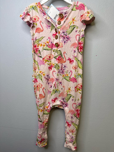 12-18 mos PoshPeanut Outfit