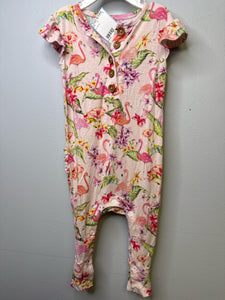 12-18 mos PoshPeanut Outfit