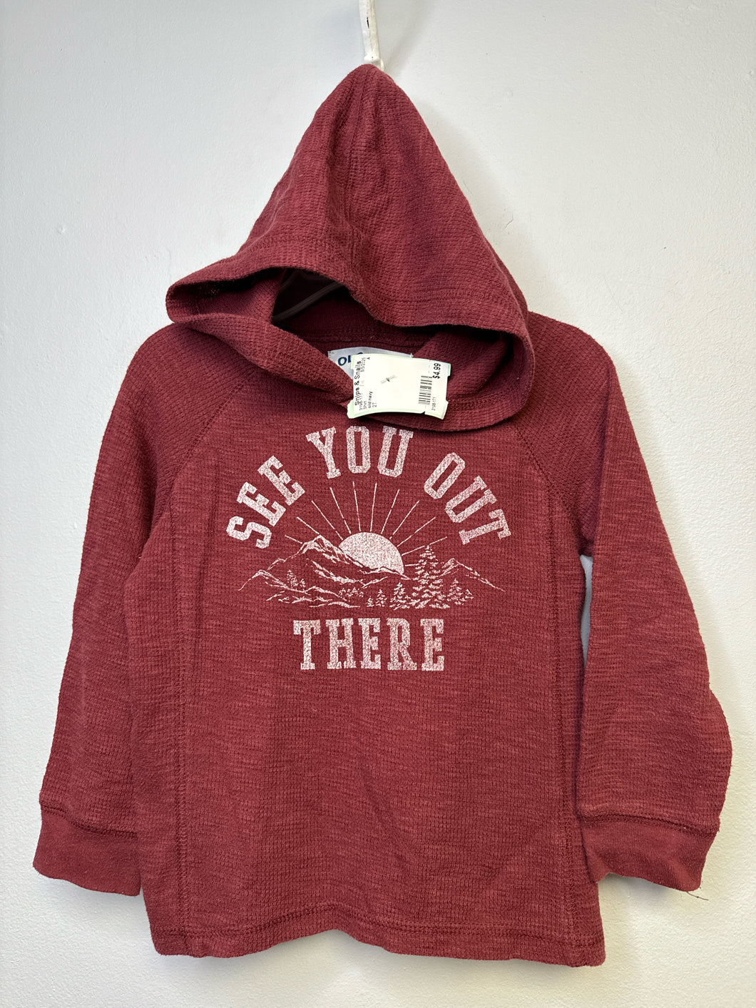 2T old navy Shirt