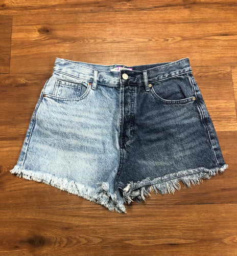 Size 28 Pacsun Shorts