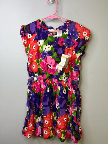 Girls 6 Gymboree Dress BNWT