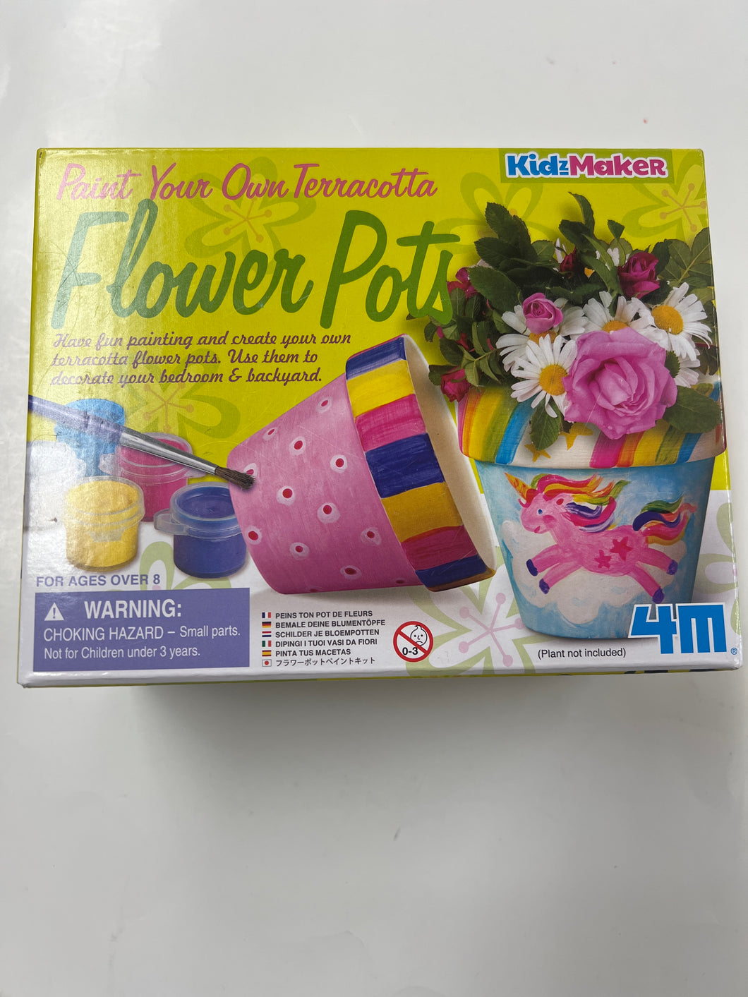Paint your own terracotta flower pot